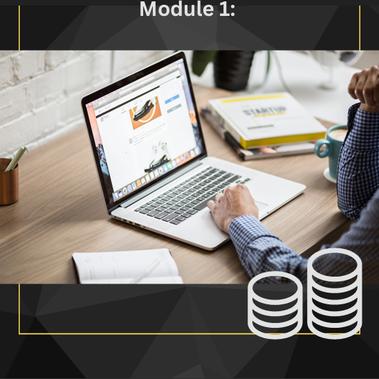 How beginners start making money online